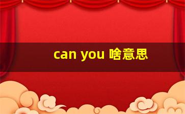 can you 啥意思